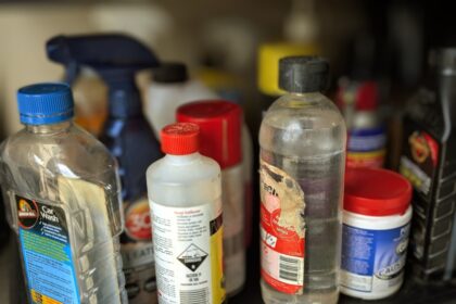 A bunch of bottles are sitting on a shelf