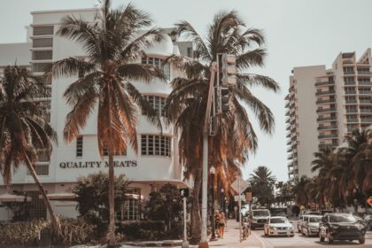 a street with palm trees and buildings